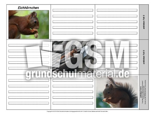 Leporello-Eichhörnchen-3-1-2.pdf